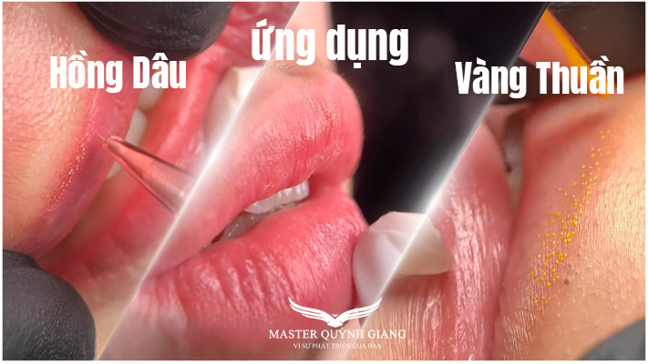 ỨNG DỤNG VÀNG THUẦN HỒNG DÂU